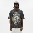 Camiseta Cubica Iron Mammoth Washed