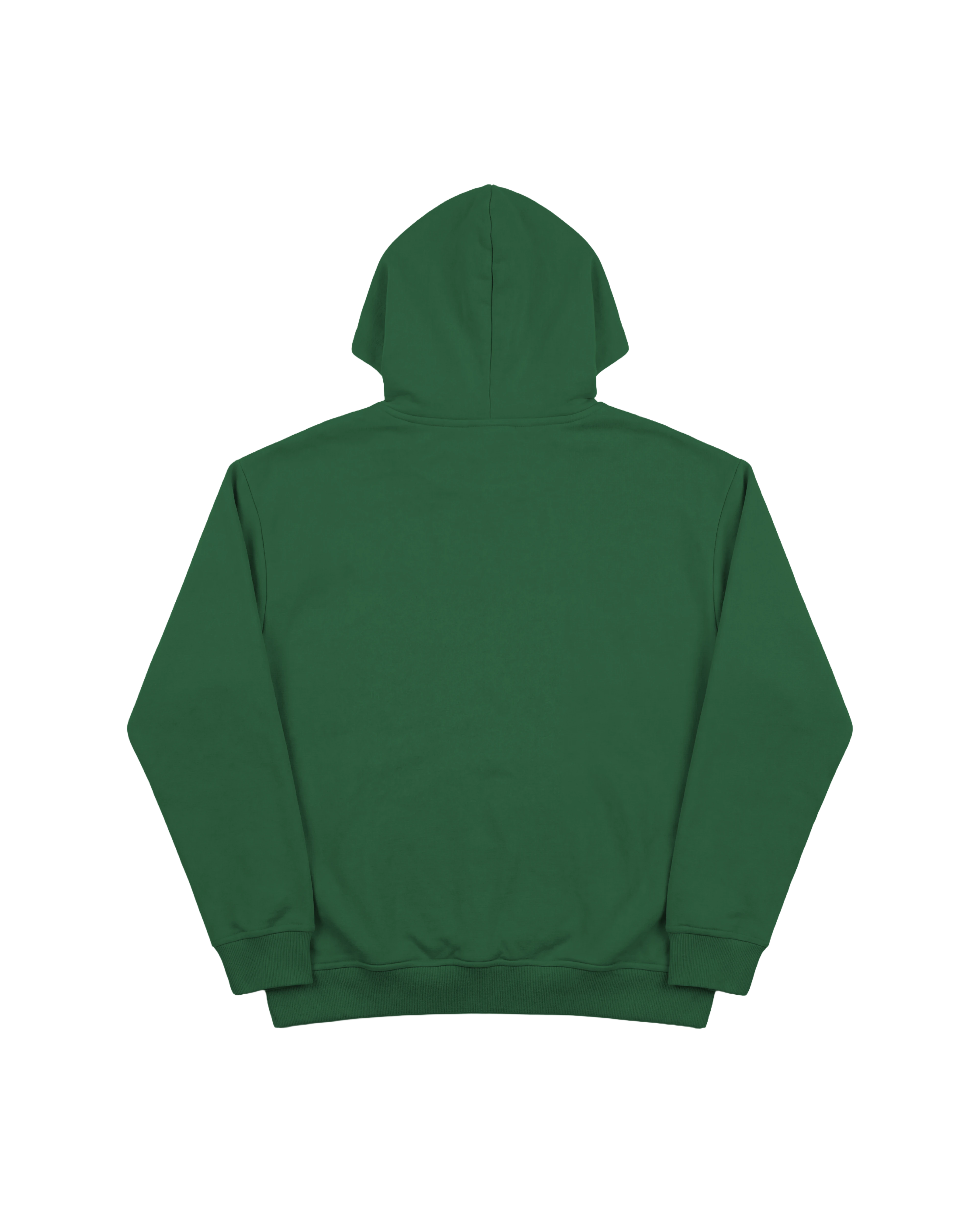 Hoodie 410 Verde Antioquia Cubica