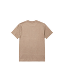 Regular 250 Arena Cubica