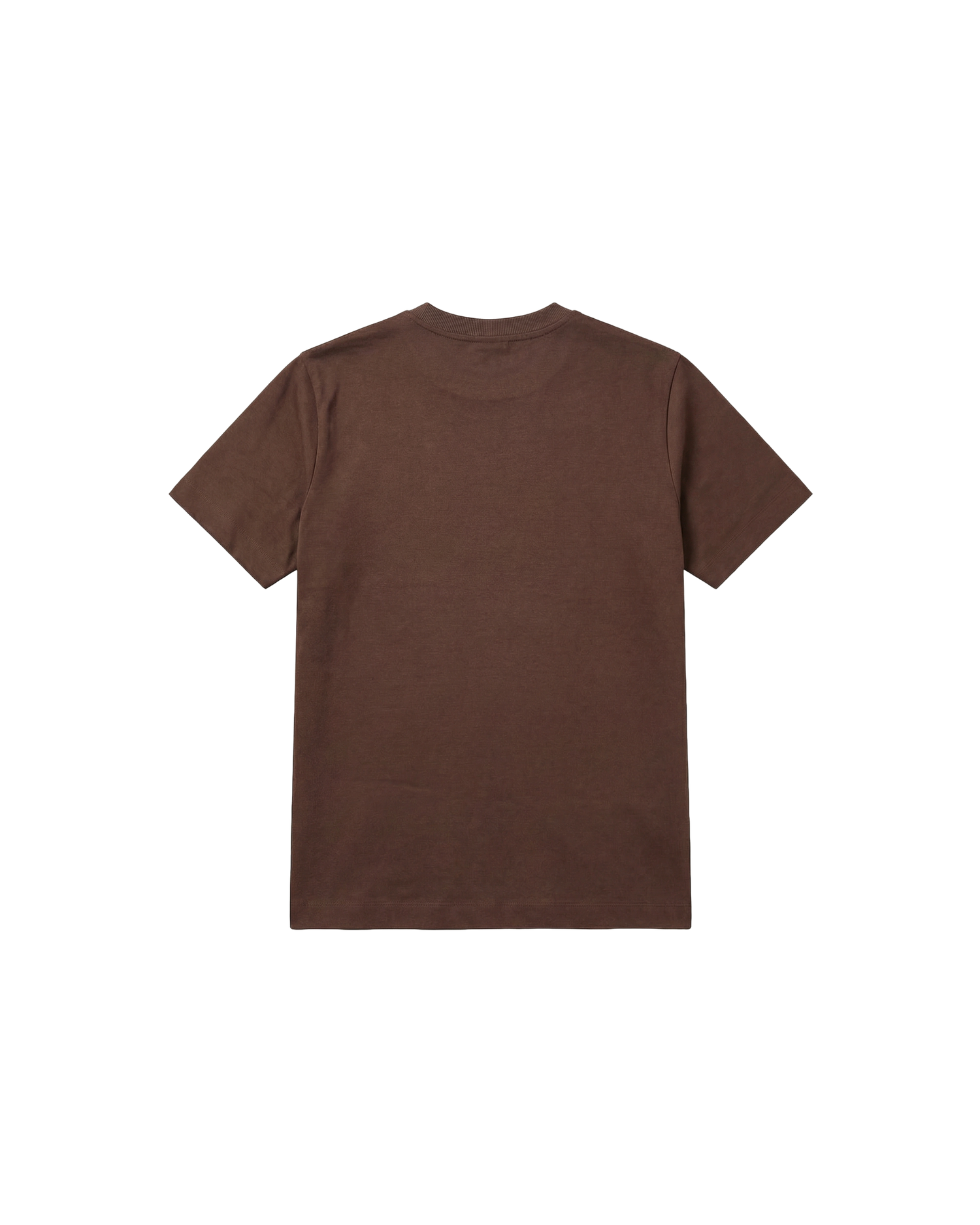 Camiseta básica Regular 250g Chocolate