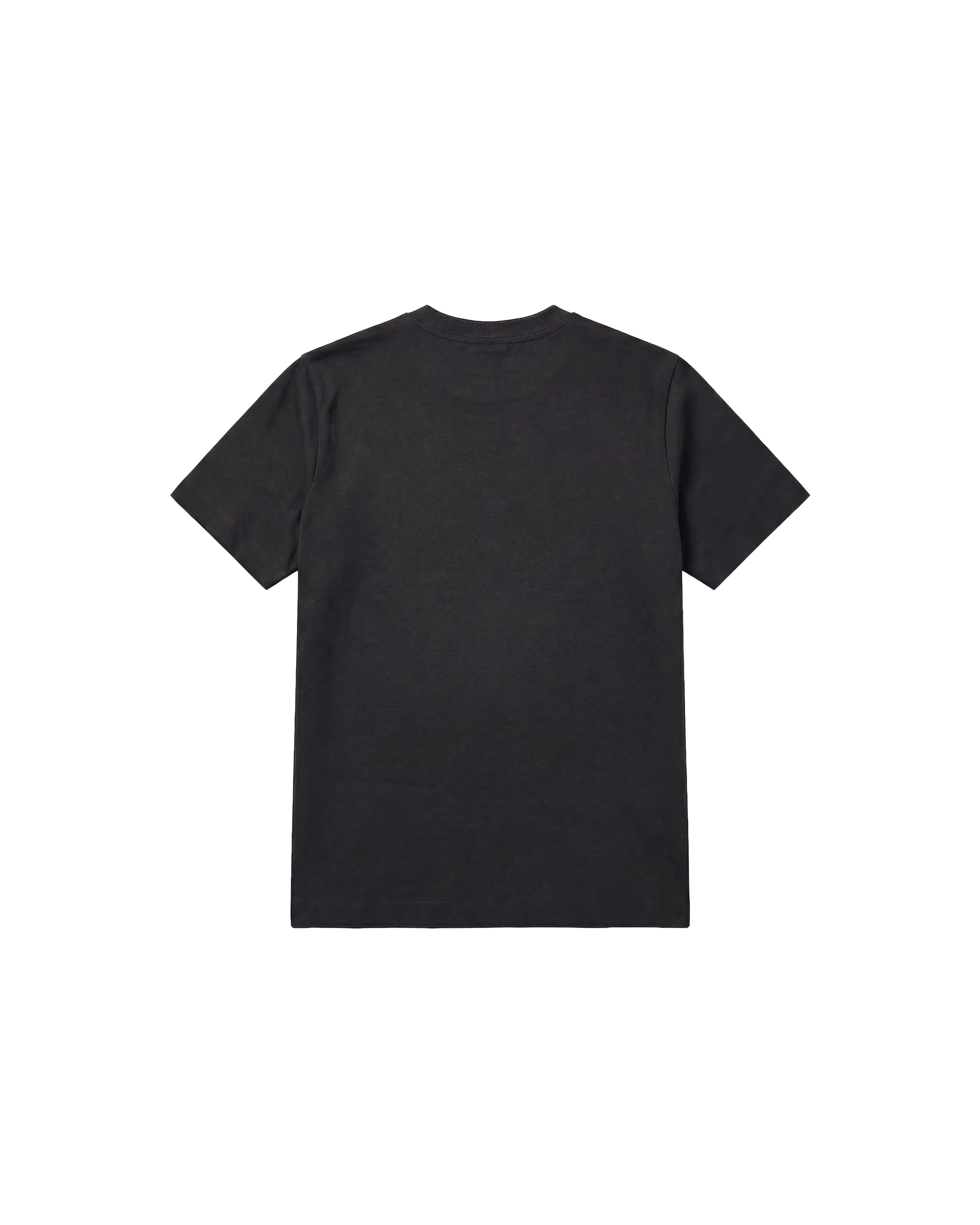 Regular 250 Negro Cubica