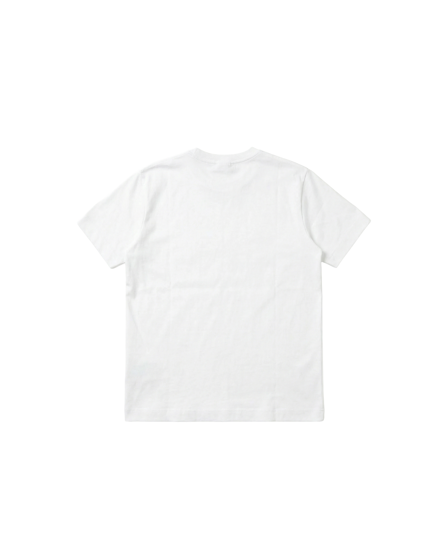 Camiseta Básica Regular 310g Blanco
