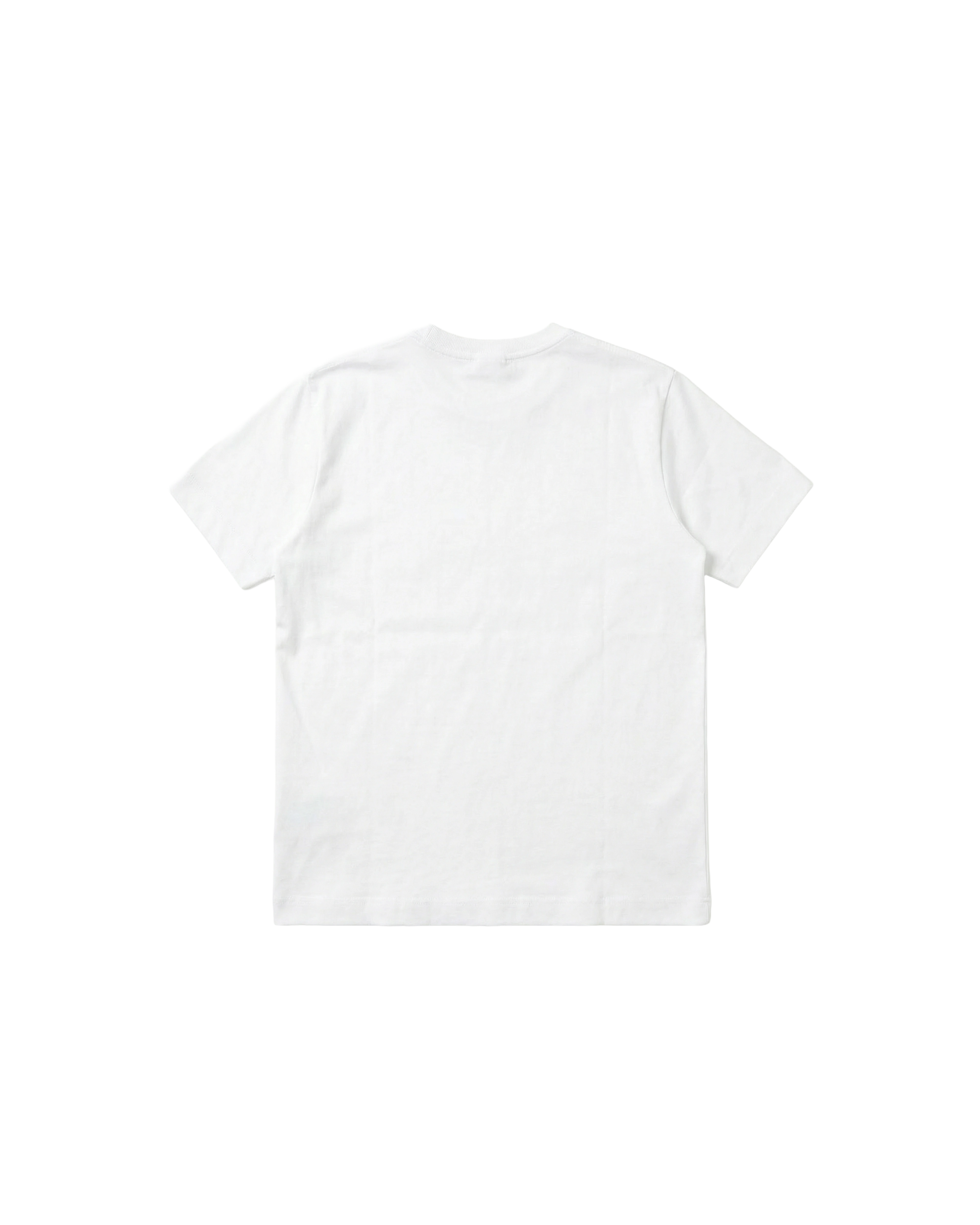 Regular 310 Blanco Cubica