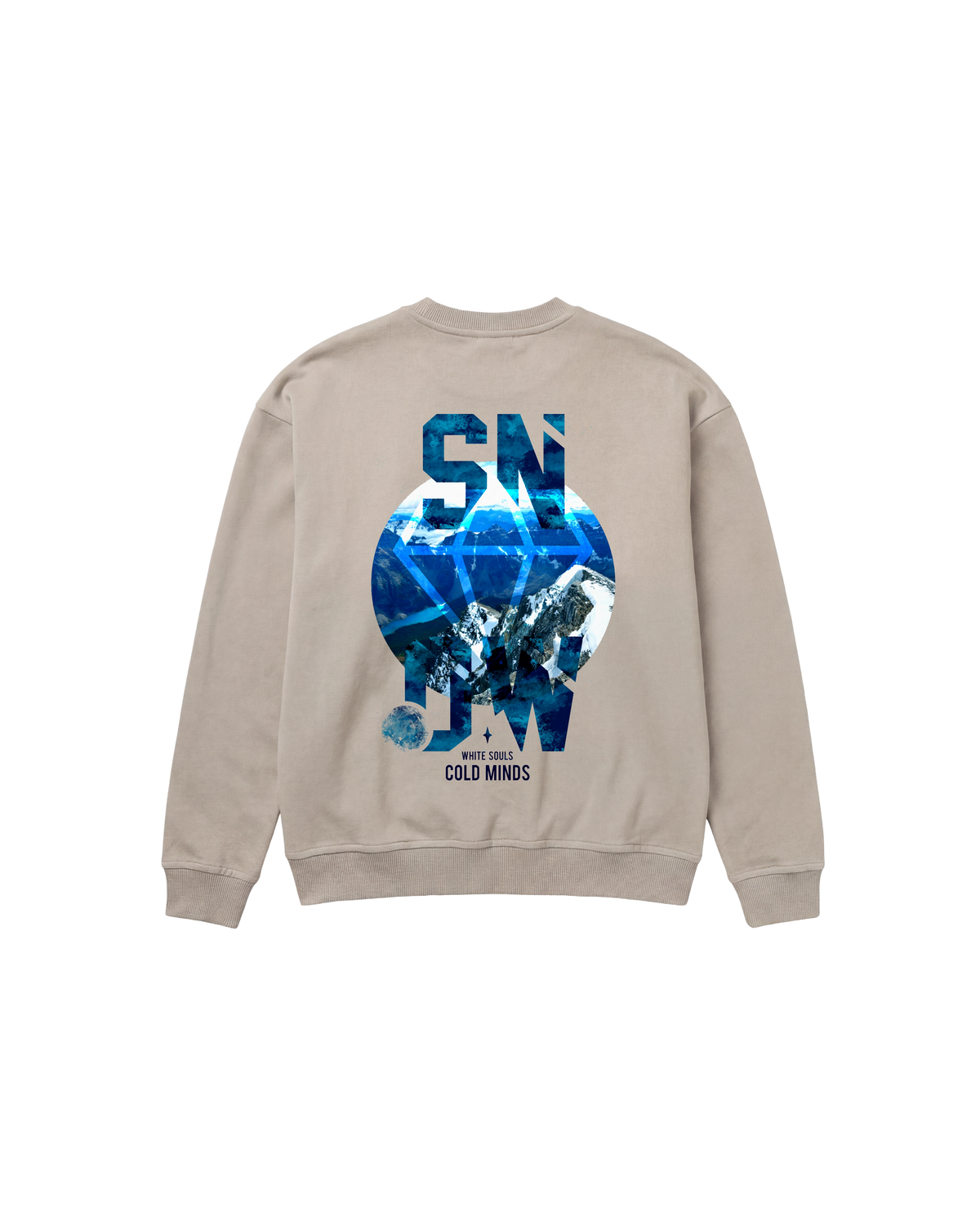 Cold Minds Sweatshirt 410 Arena Cubica