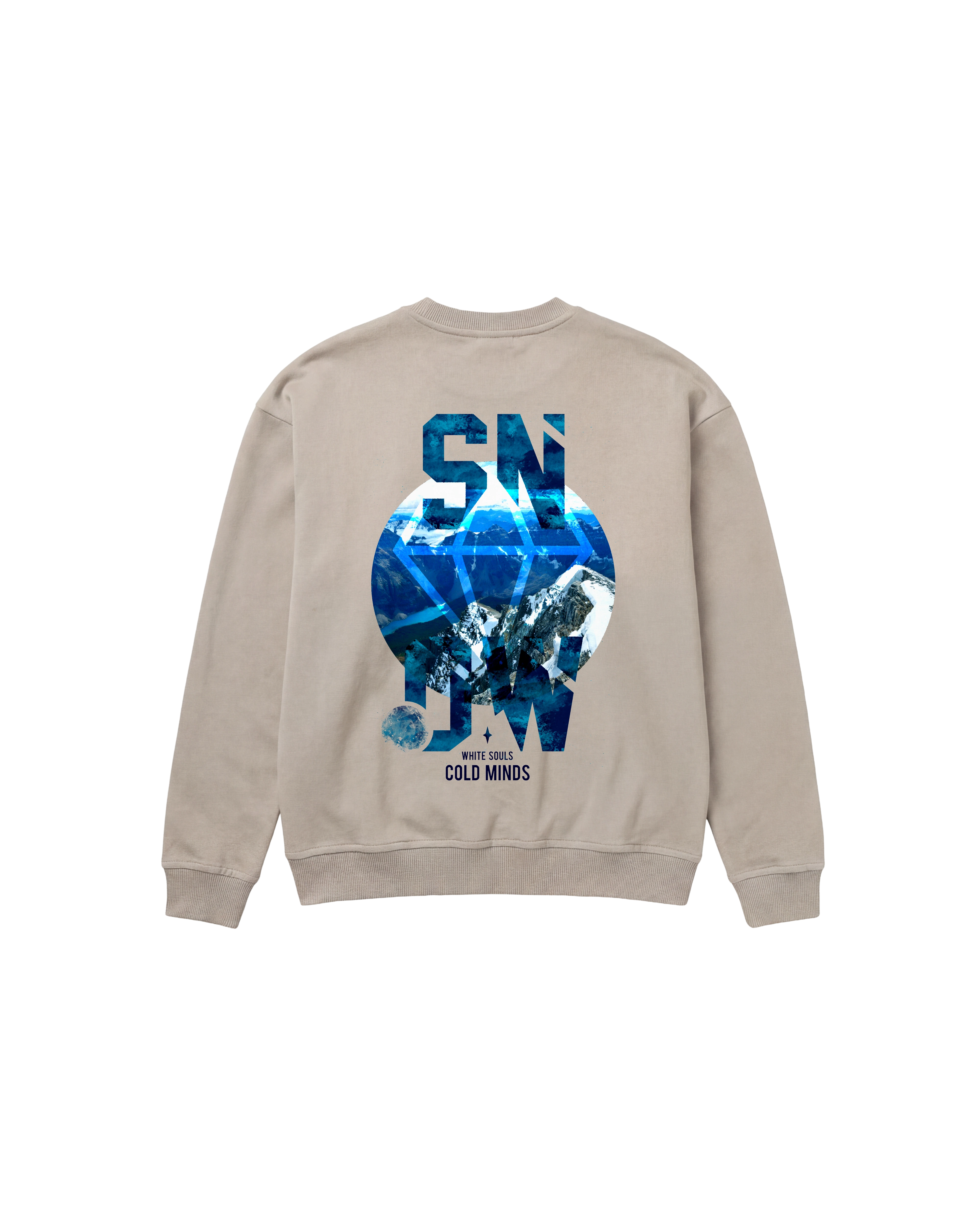 Cold Minds Sweatshirt 410 Arena Cubica