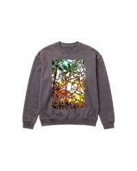 Crystal Beach Sweatshirt 410 Gris Oscuro Cubica