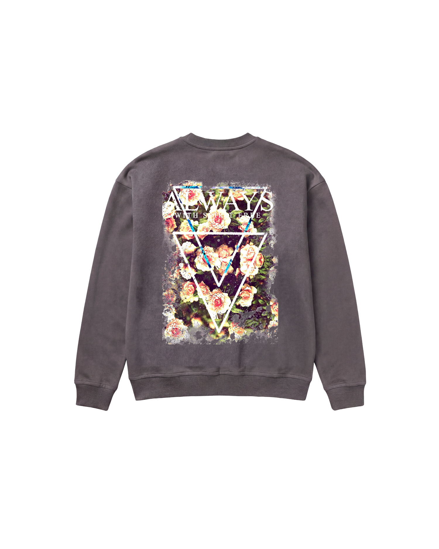 Free Spirit Sweatshirt 410 Gris Oscuro Cubica