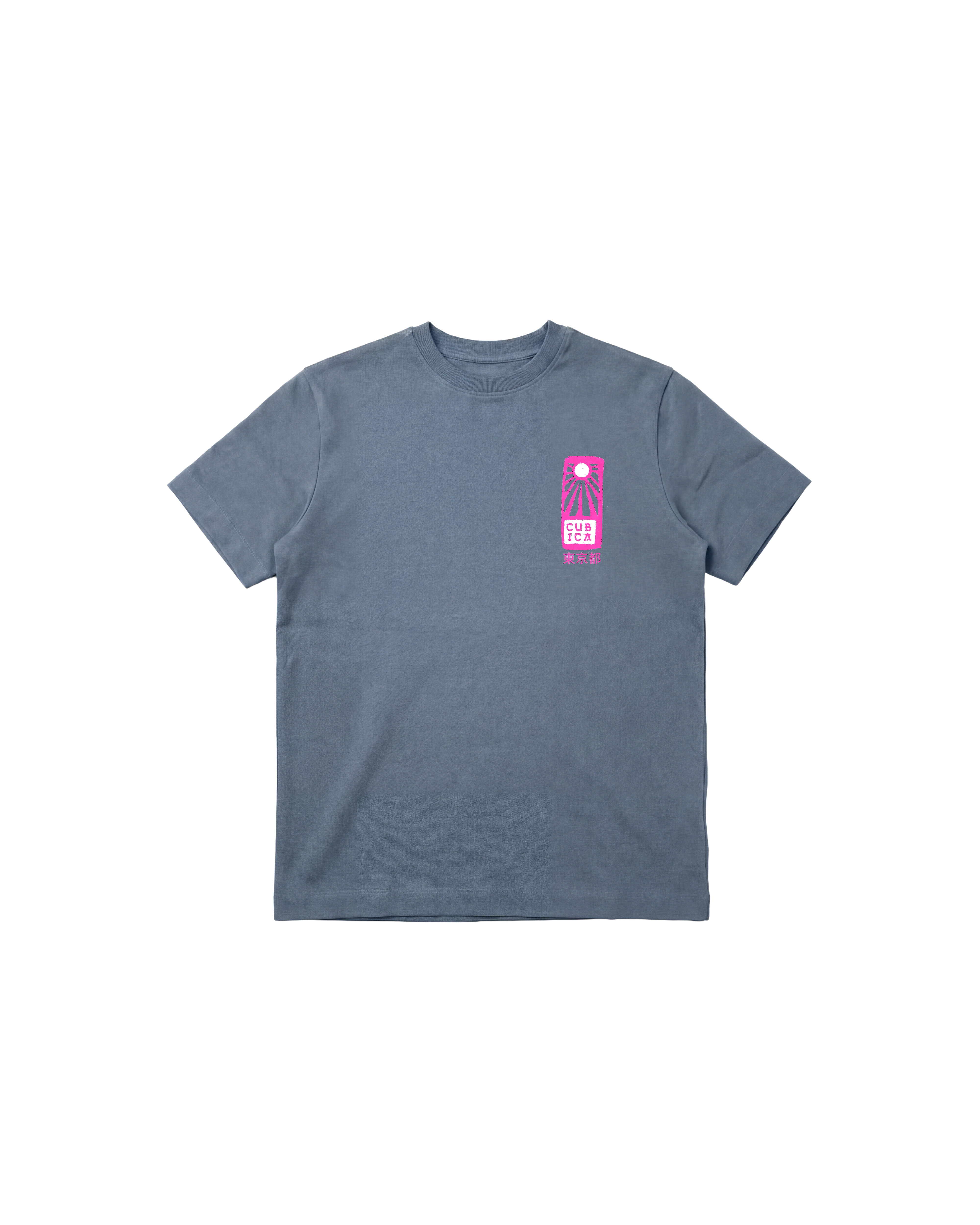 Tokyo 2050 Regular 310 Indigo Cubica